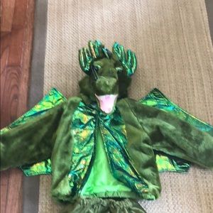 Green dragon Halloween costume size 4t
